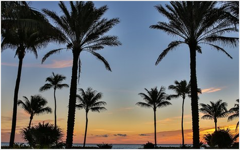 BGSA Conference Logistics Lessons from Palm Beach