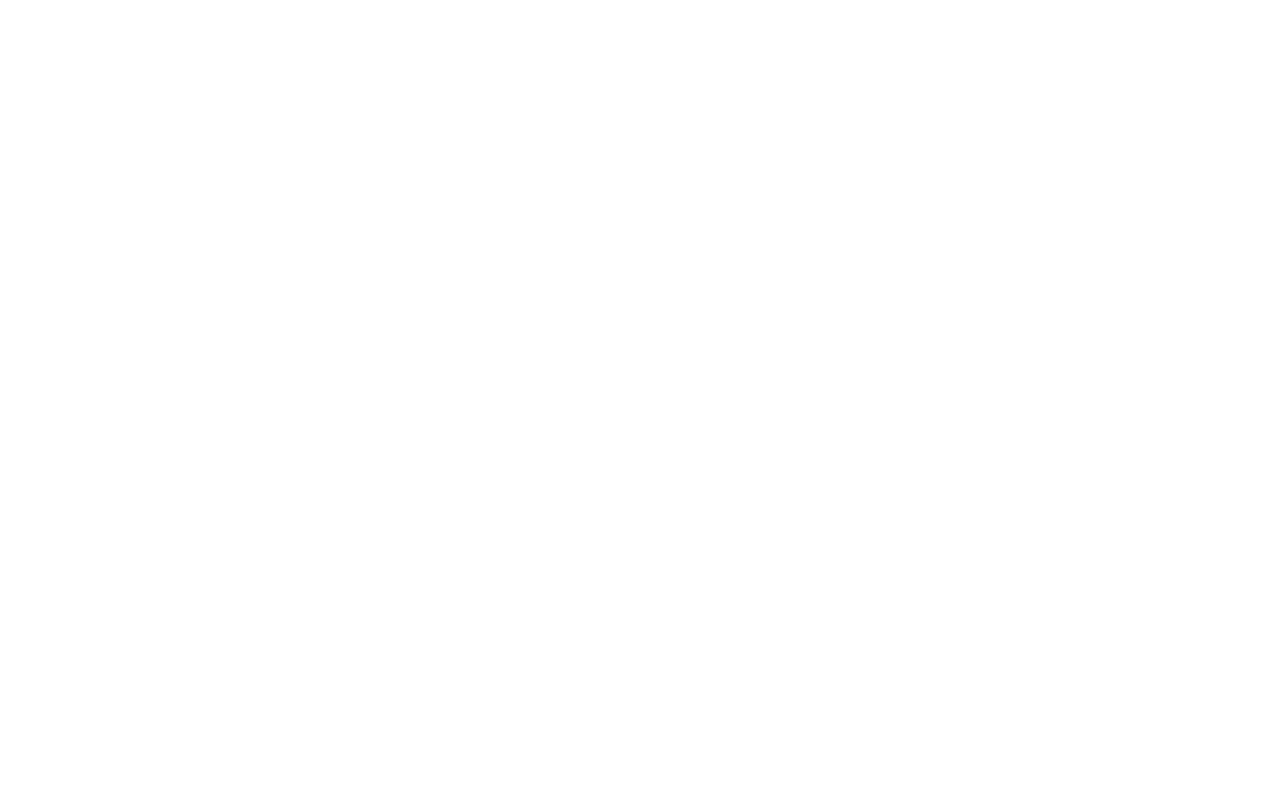 Technik IMS