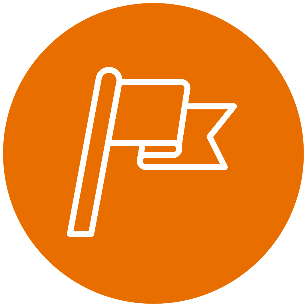 Flag Icon