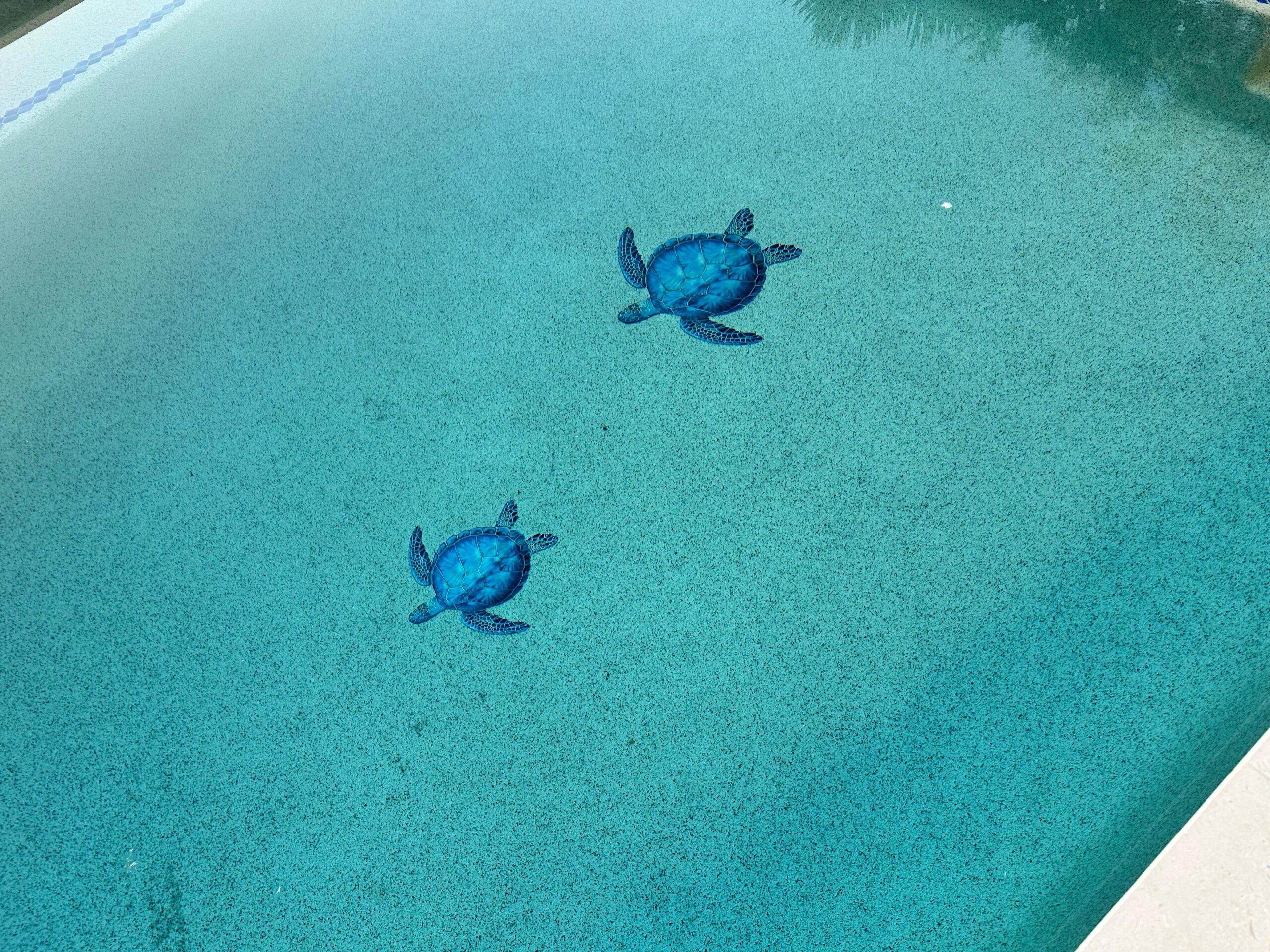 Sunseeker pool project