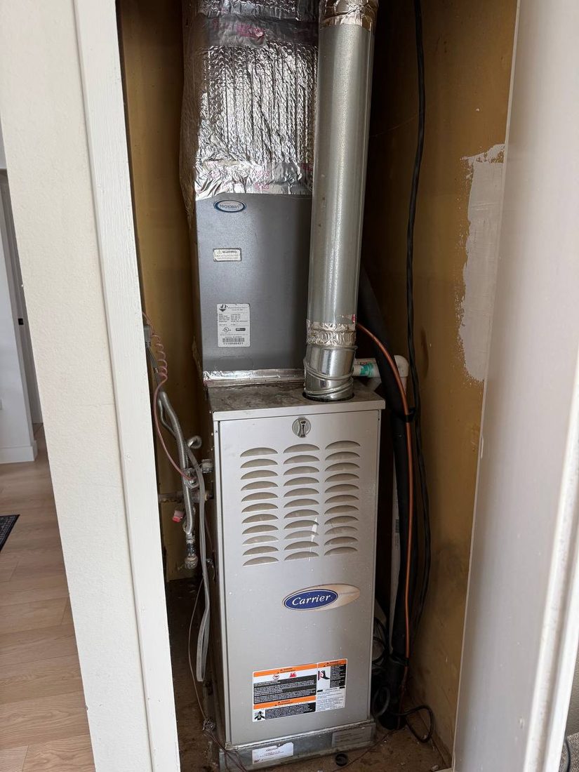 Carrier gas furnace