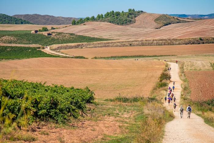 The Camino de Santiago Without Flying
