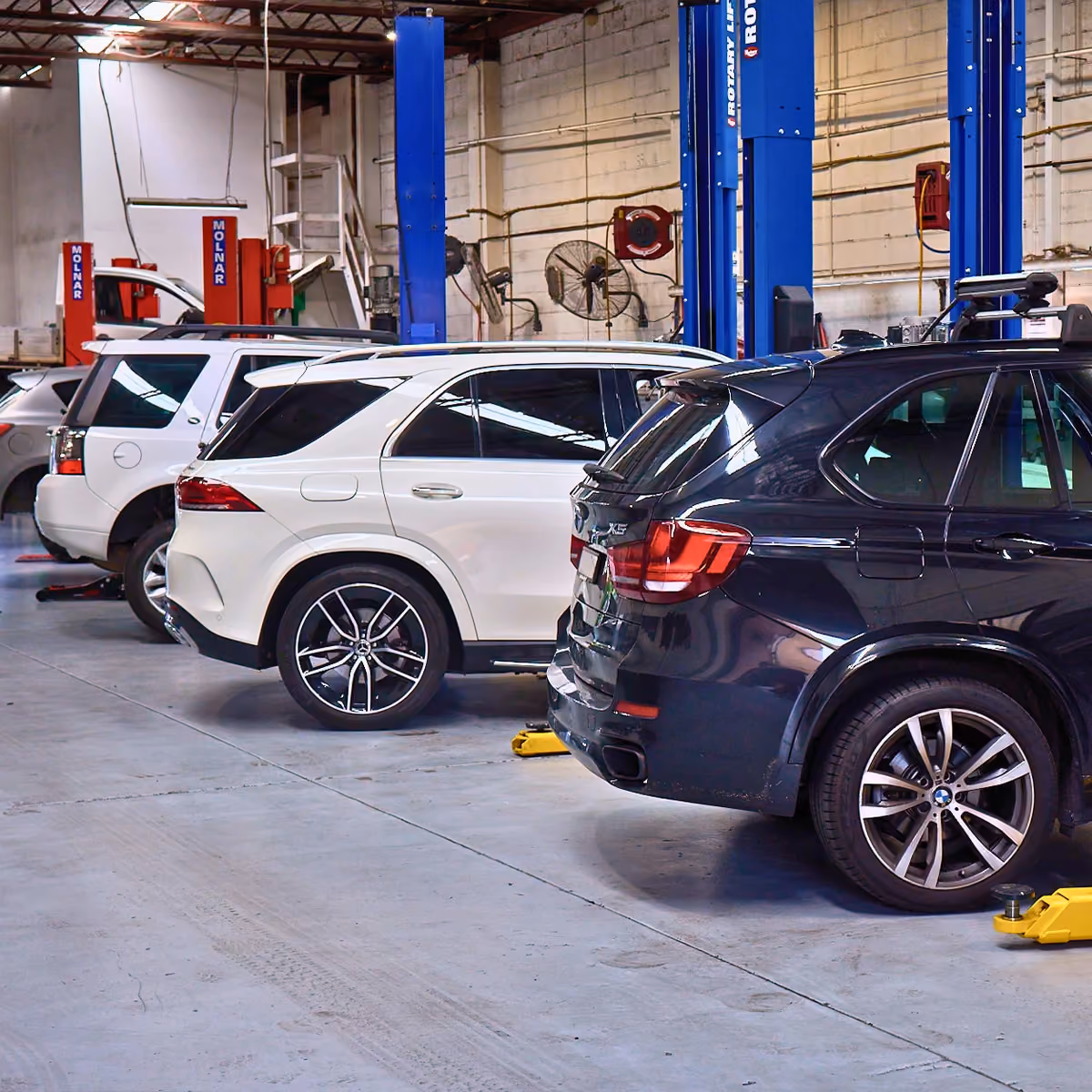 Vehicles being serviced in the Auto Tech workshop using professional hoists.