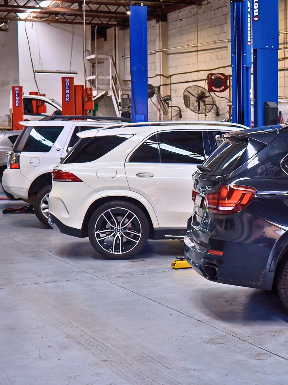 Cars on hoists inside workshop during car servicing and repairs.