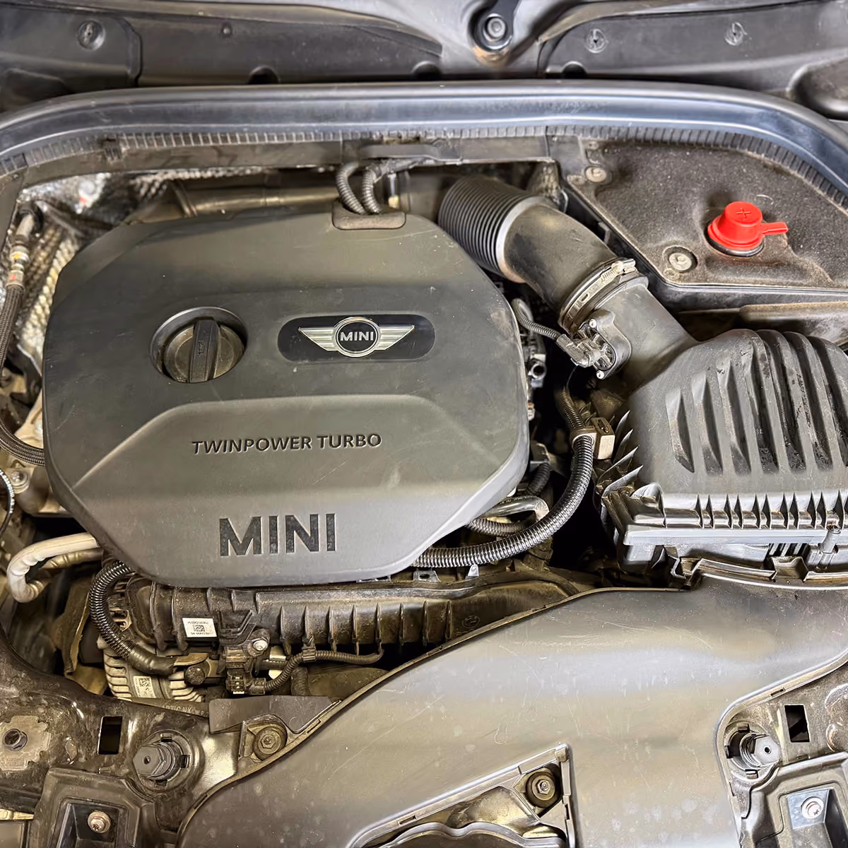 Mini engine bay showing cooling system components.