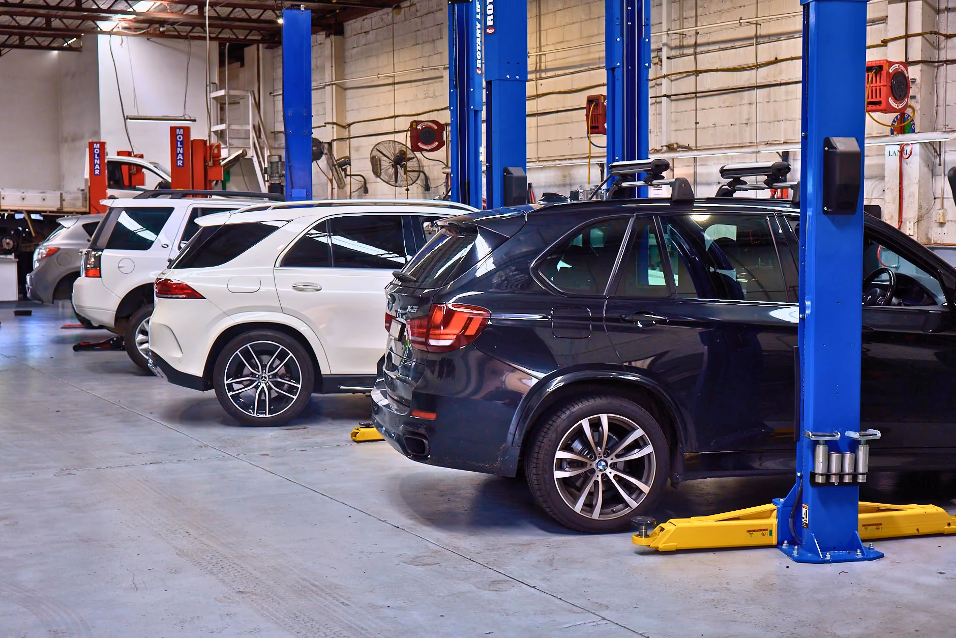 Prestige European vehicles being serviced at an independent automotive workshop.