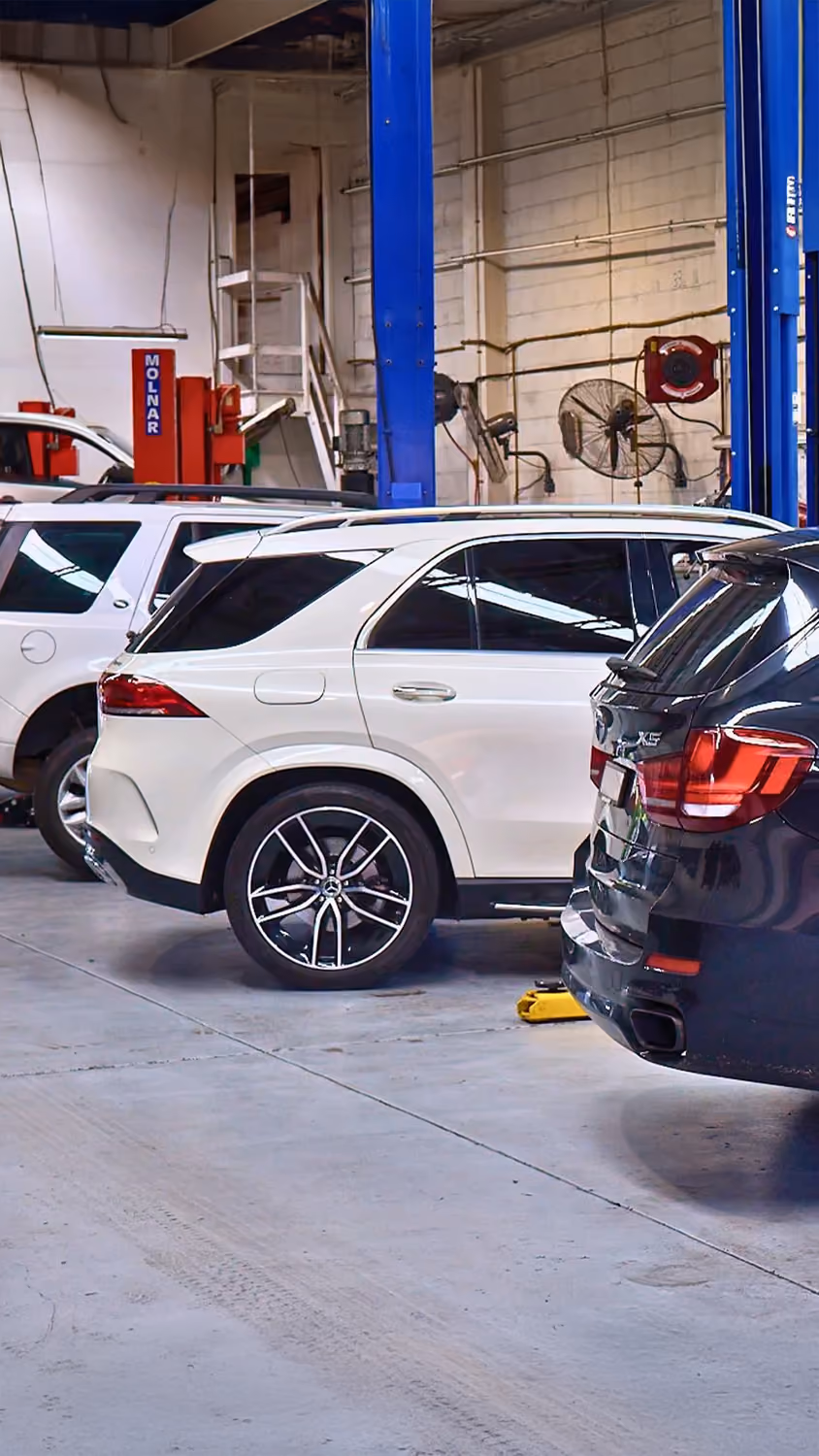 Cars lined up in an Auto Tech Group workshop for tyre service and maintenance in Melbourne.