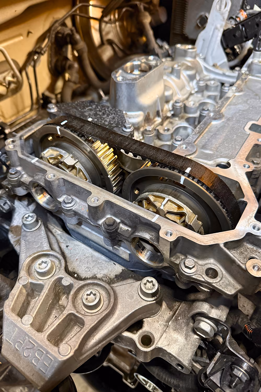 Close-up of a vehicle timing chain and camshaft gears during engine repair.