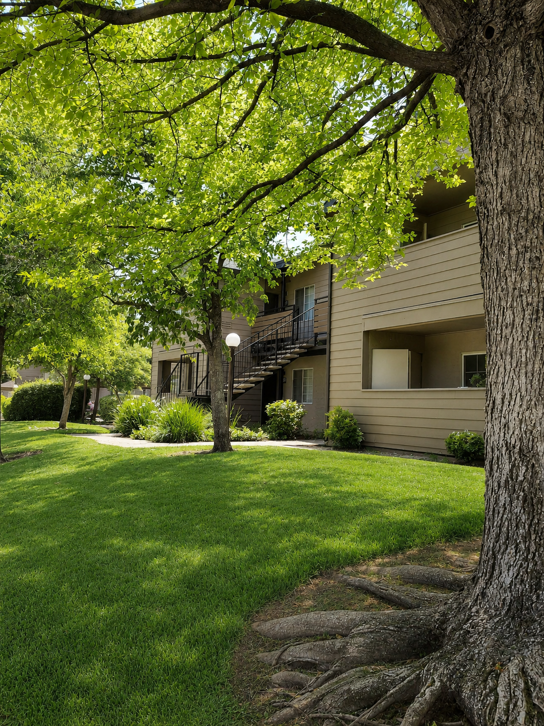 Building and trees