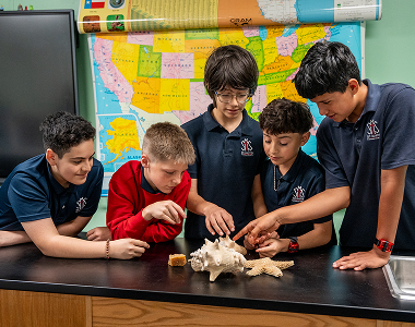 Students examining seashells and starfish during science class