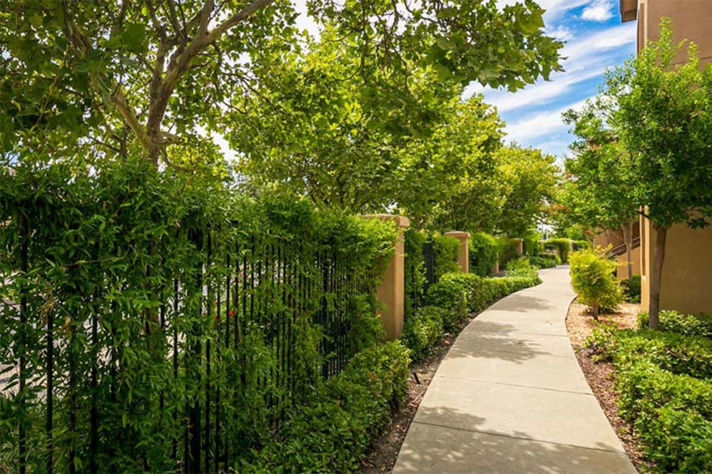Walk way