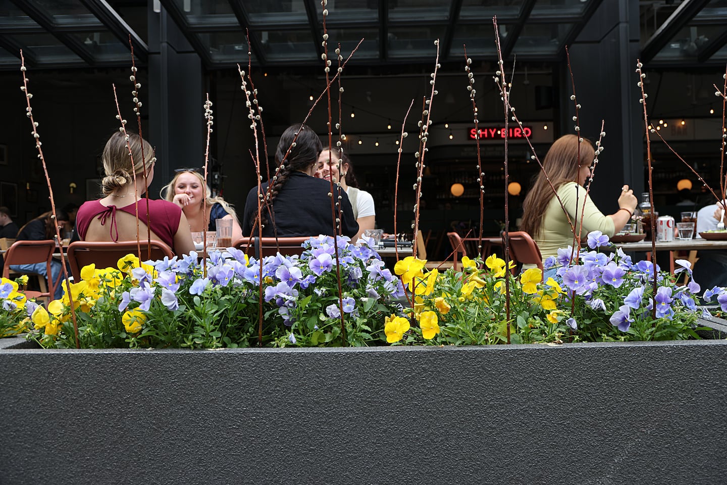 Diners at Shy Bird restaurant in the Fenway.