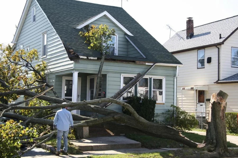 A large fallen tree rests on a green house, causing visible roof damage; a person inspects the scene.