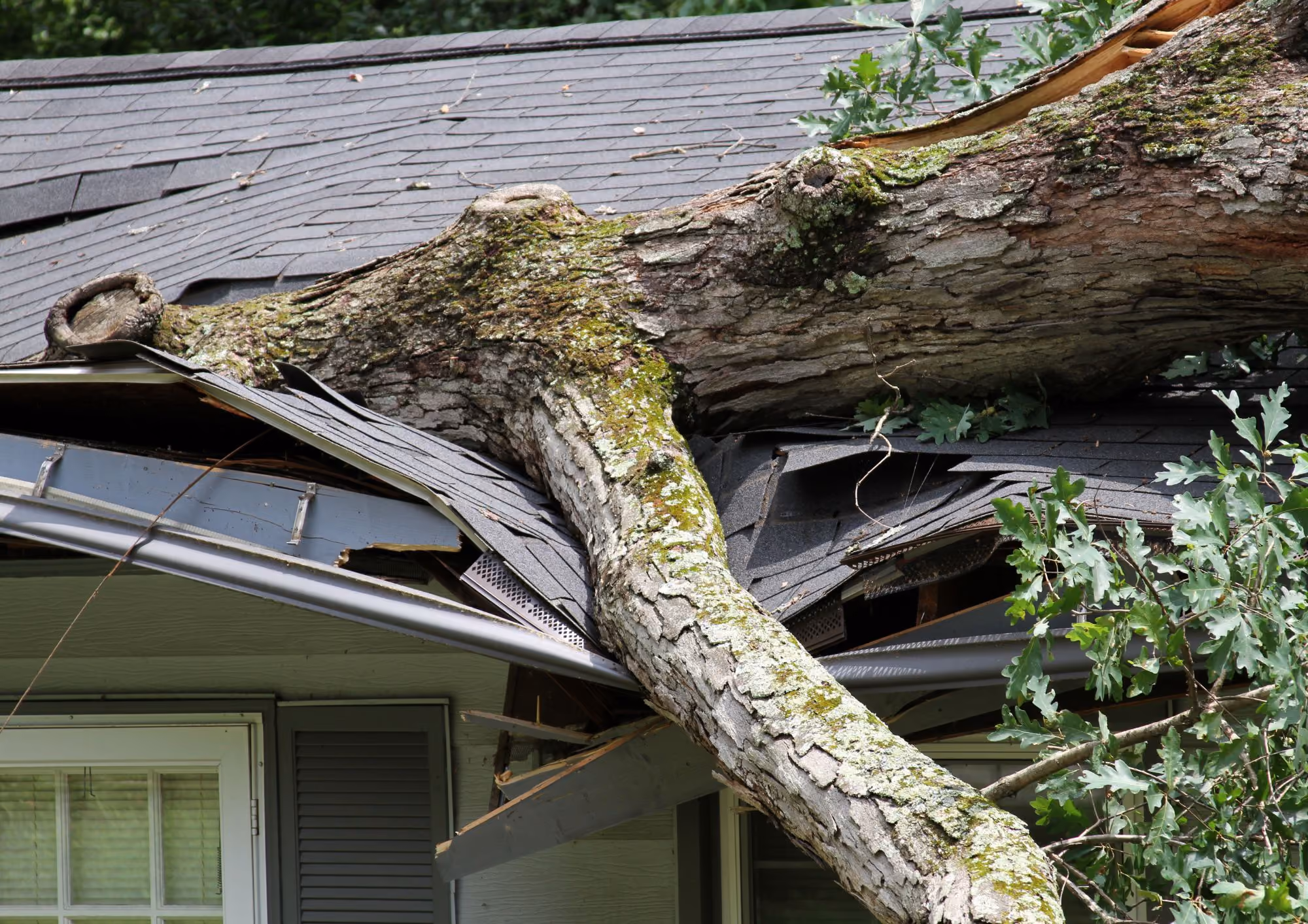Storm Damage Restoration