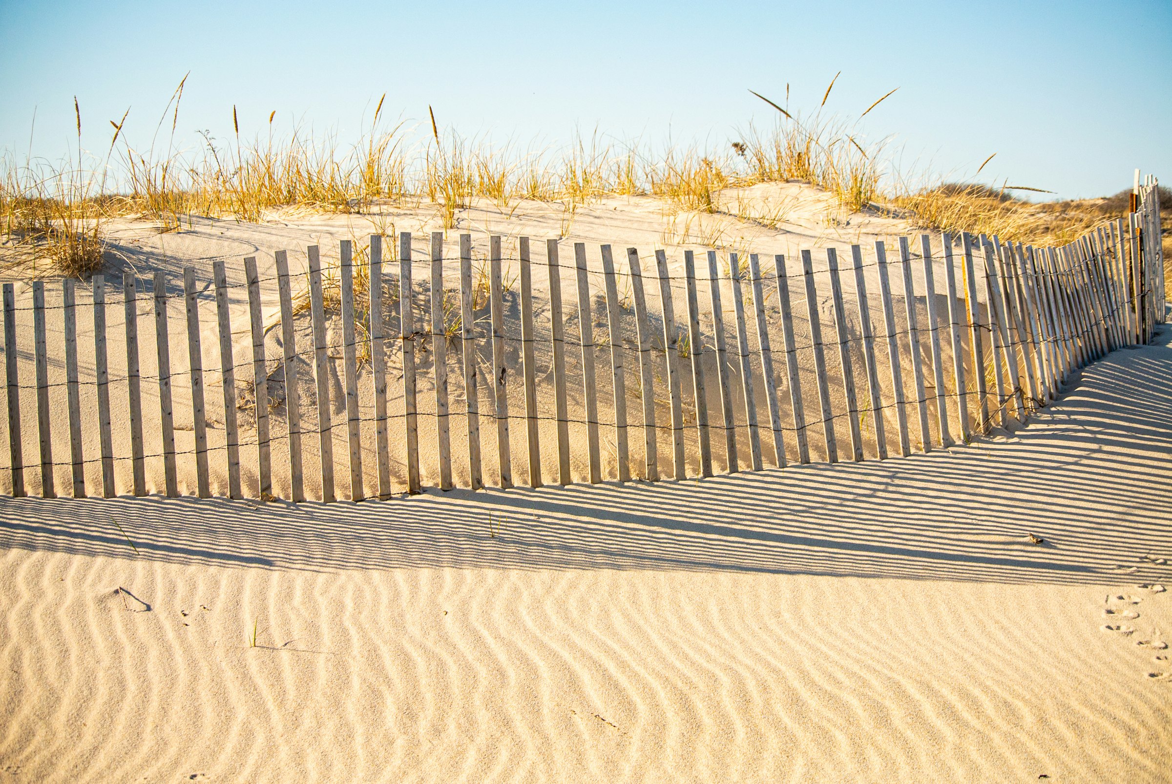 Sand dunes on Dune Road in Southampton, Long Island