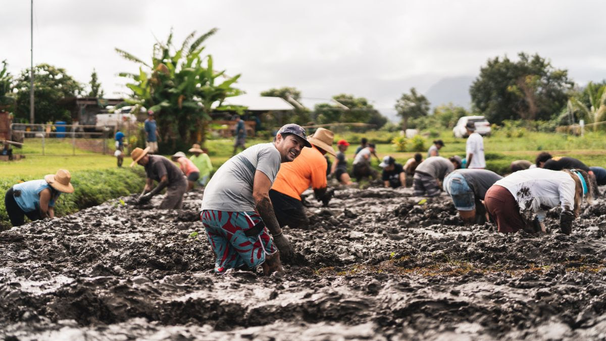 Island Giving: Volunteering on Your Hawaiian Vacation