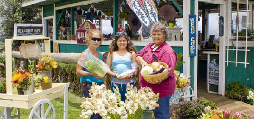 Top Maui Day Trips