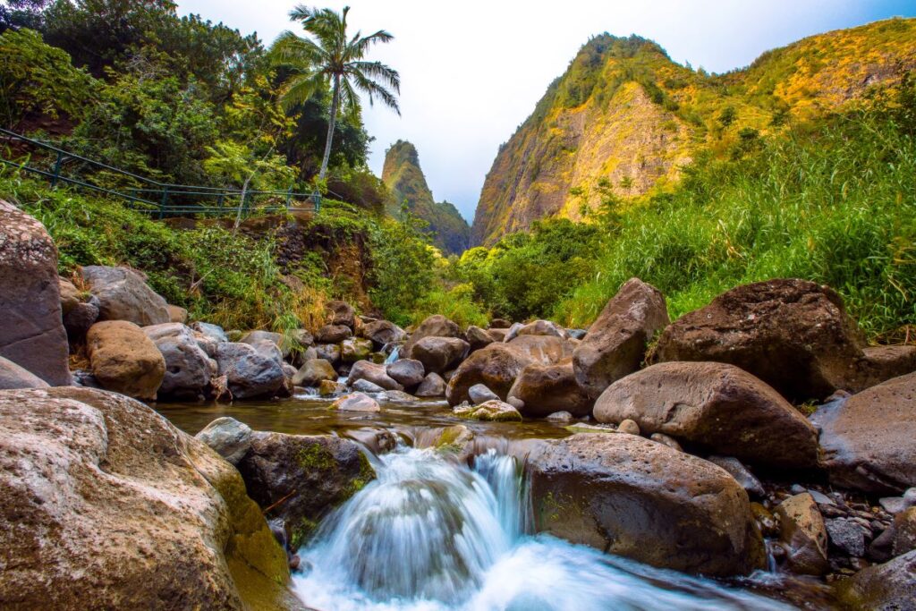 Top Maui Day Trips
