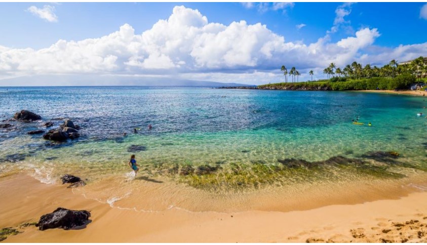 The Best Places to Snorkel in Hawaii