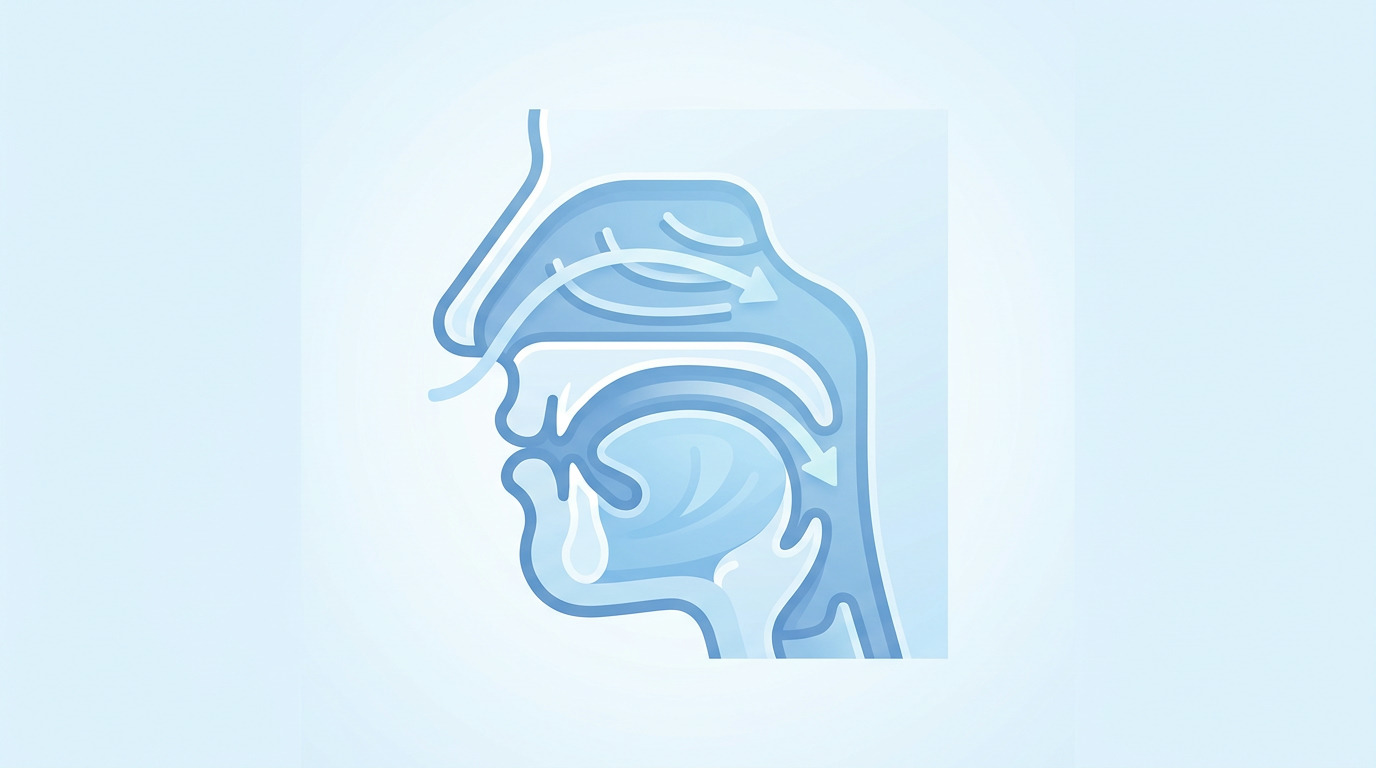 Stylized illustration of a human head in cross-section showing nasal passages, soft palate, tongue, and jaw in blue and white, with arrows indicating airflow.