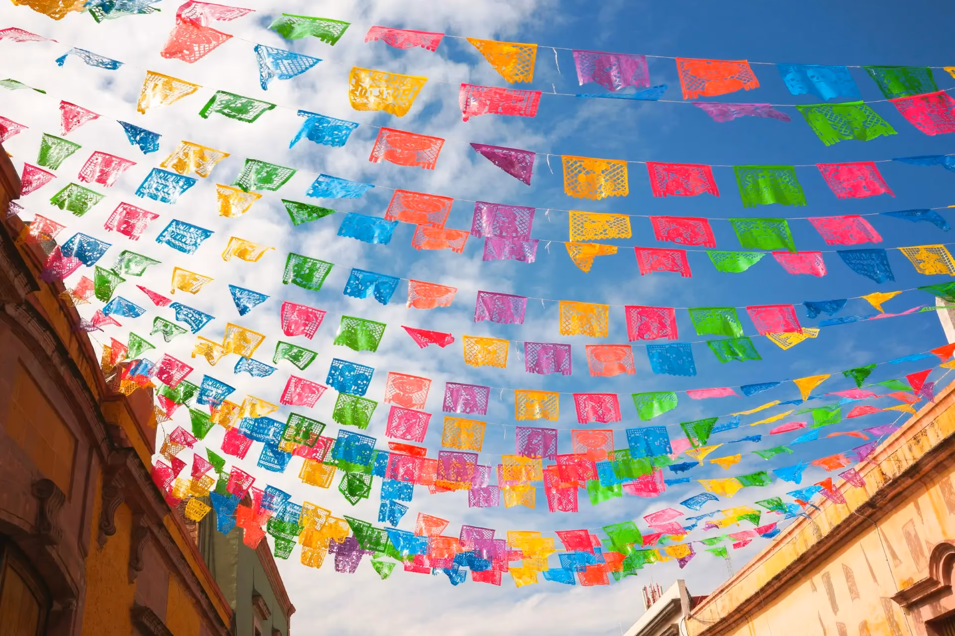 Purple and yellow papel picado banners cut with skeleton and flower designs, strung overhead