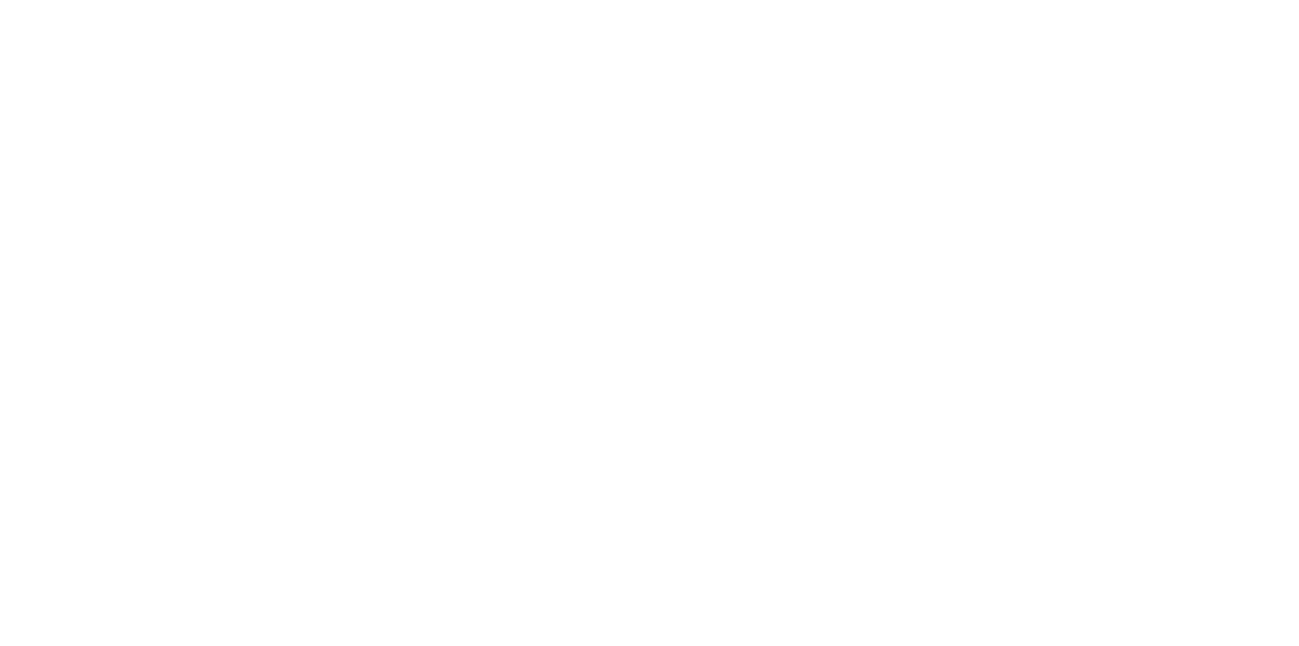NorgesGruppen logo