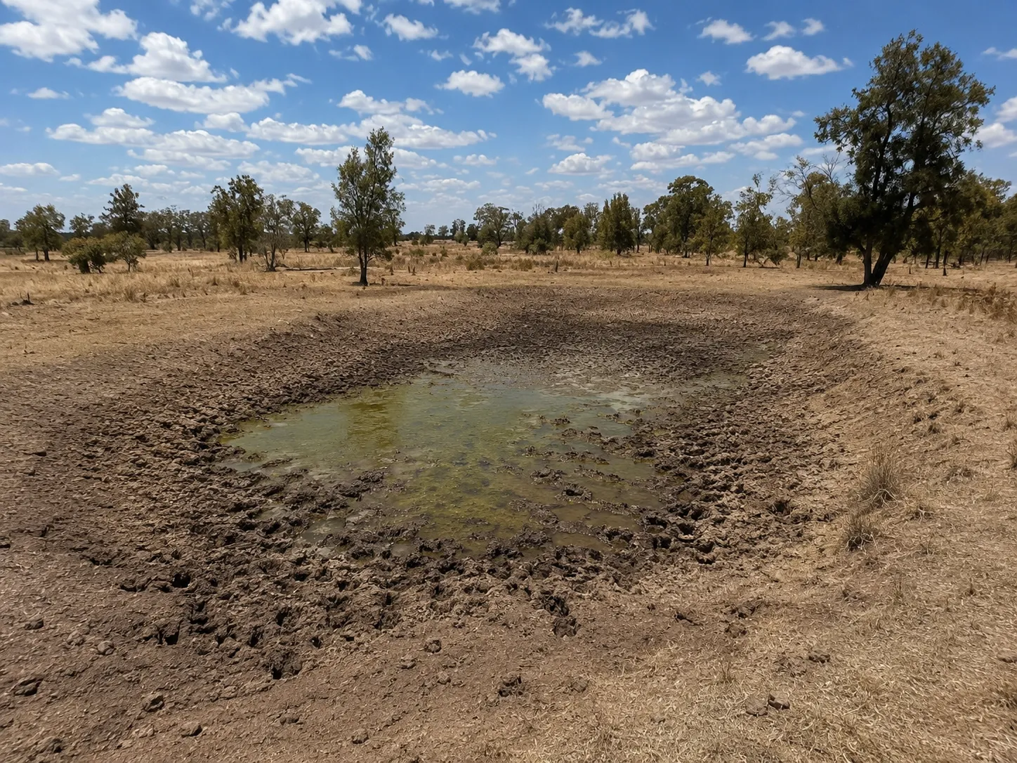 Silted dam with low, stagnant water before a cleanout in rural Queensland.
