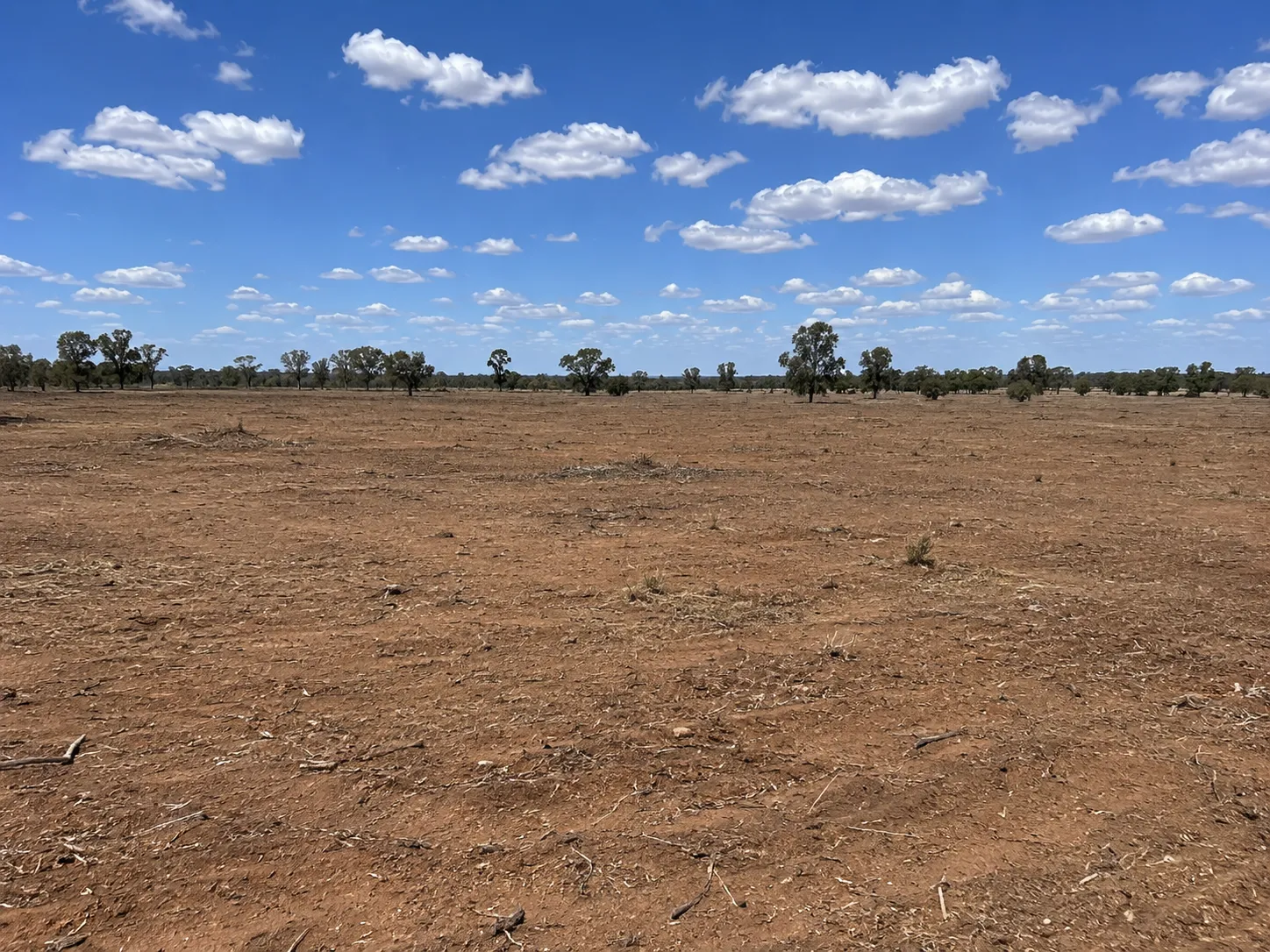 Bare cleared paddock with exposed soil ready for seeding in rural Queensland.