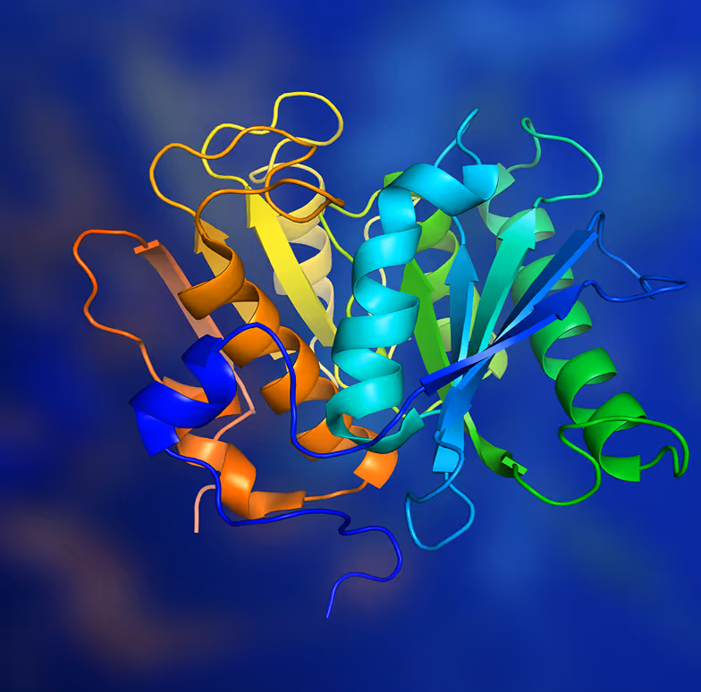 Colorful 3D ribbon model of a protein structure with helices and beta sheets against a blue background.
