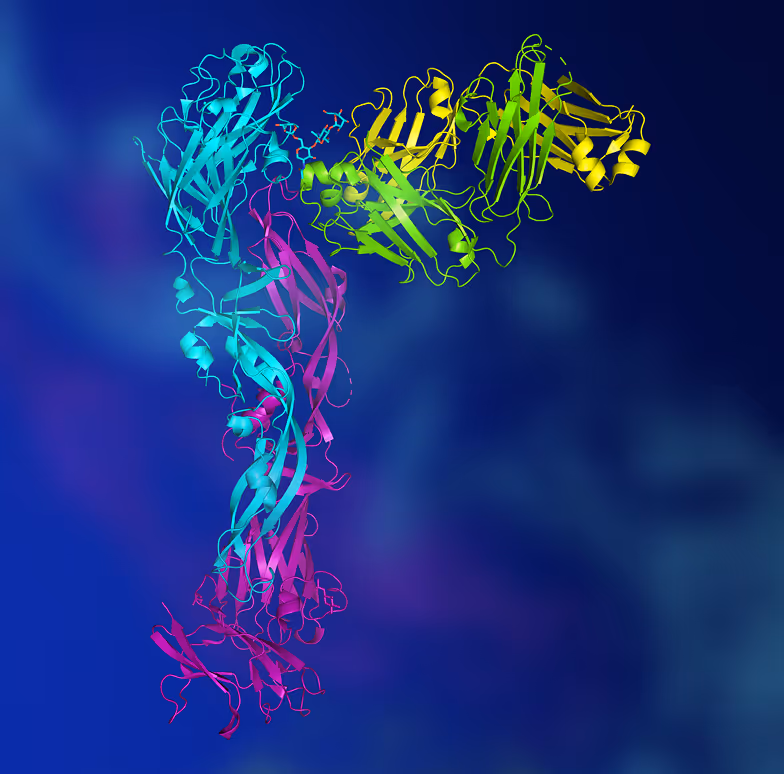 3D structural model of a protein complex with multiple colored domains in cyan, magenta, yellow, and green against a blurred blue background.