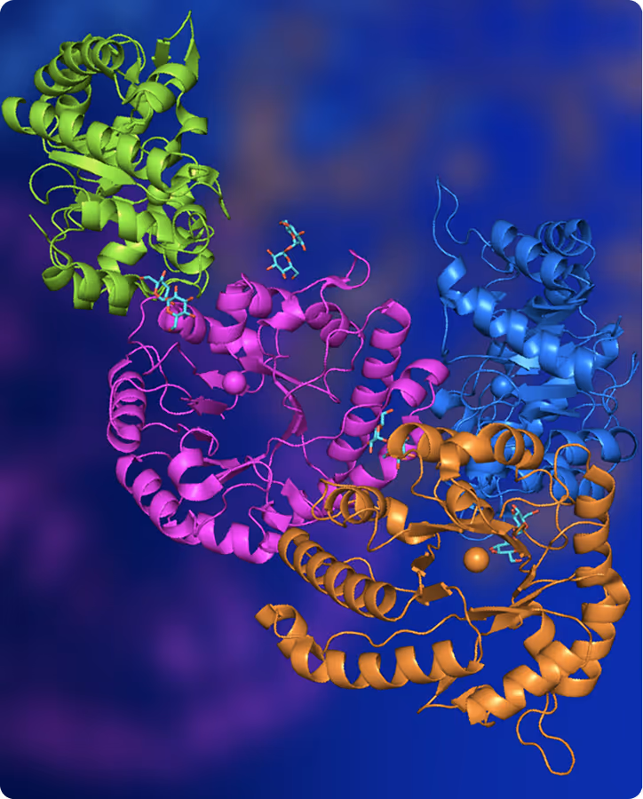3D molecular structure of a protein complex with four distinct colored chains in green, pink, blue, and orange, shown with alpha helices and binding sites.