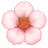 🌸
