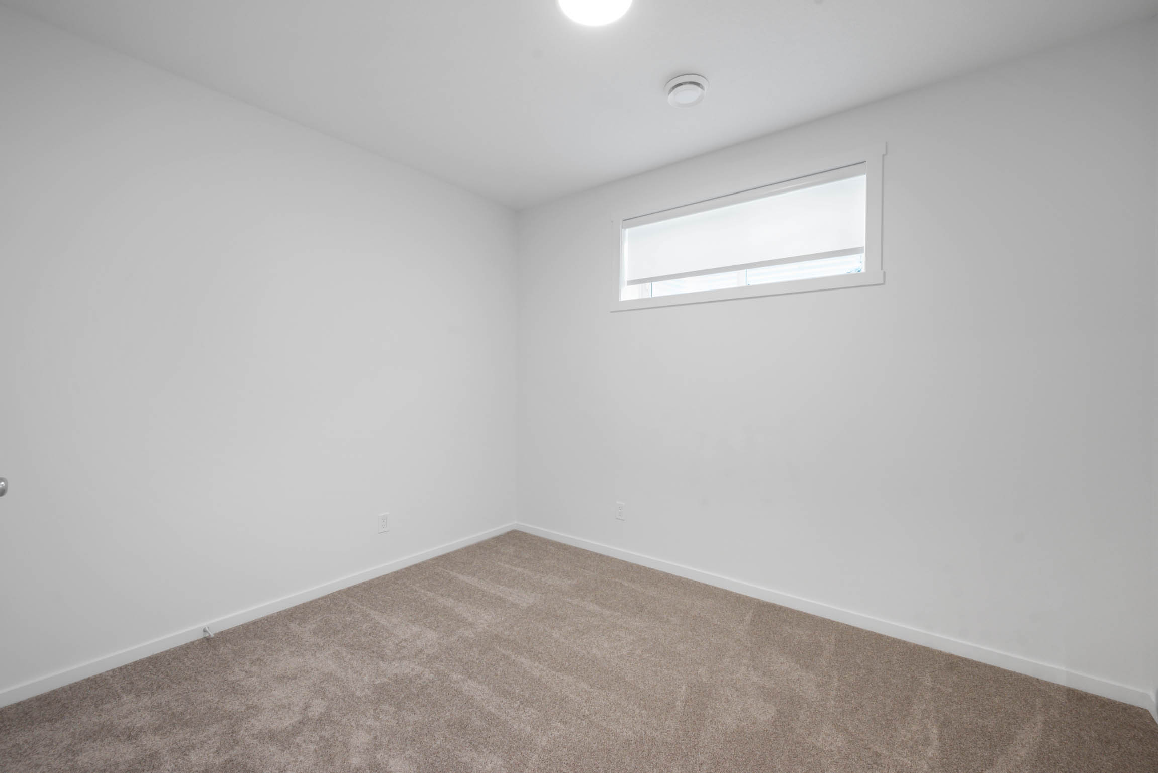 Basement suite in Kinglet, Edmonton