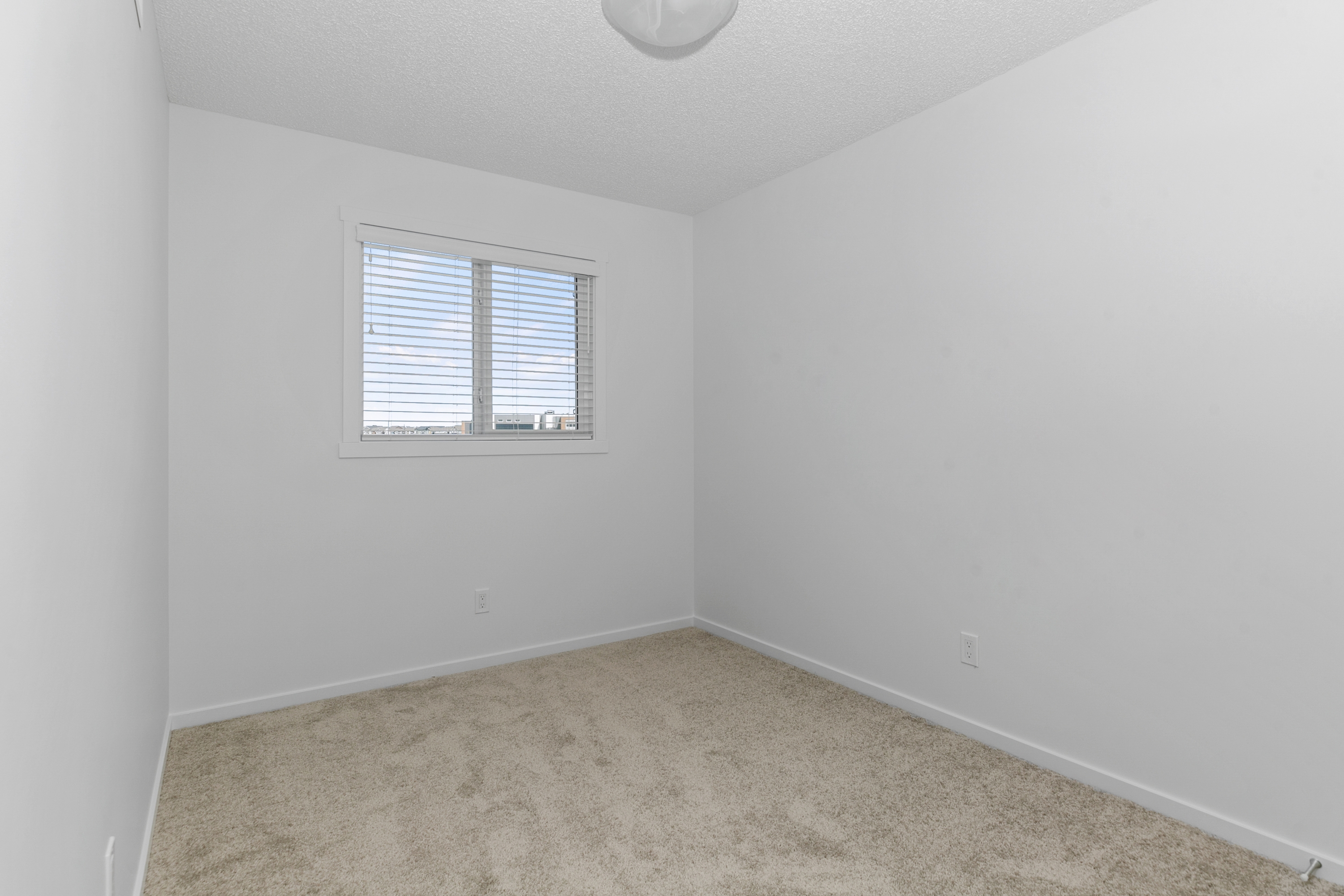 Edmonton rental