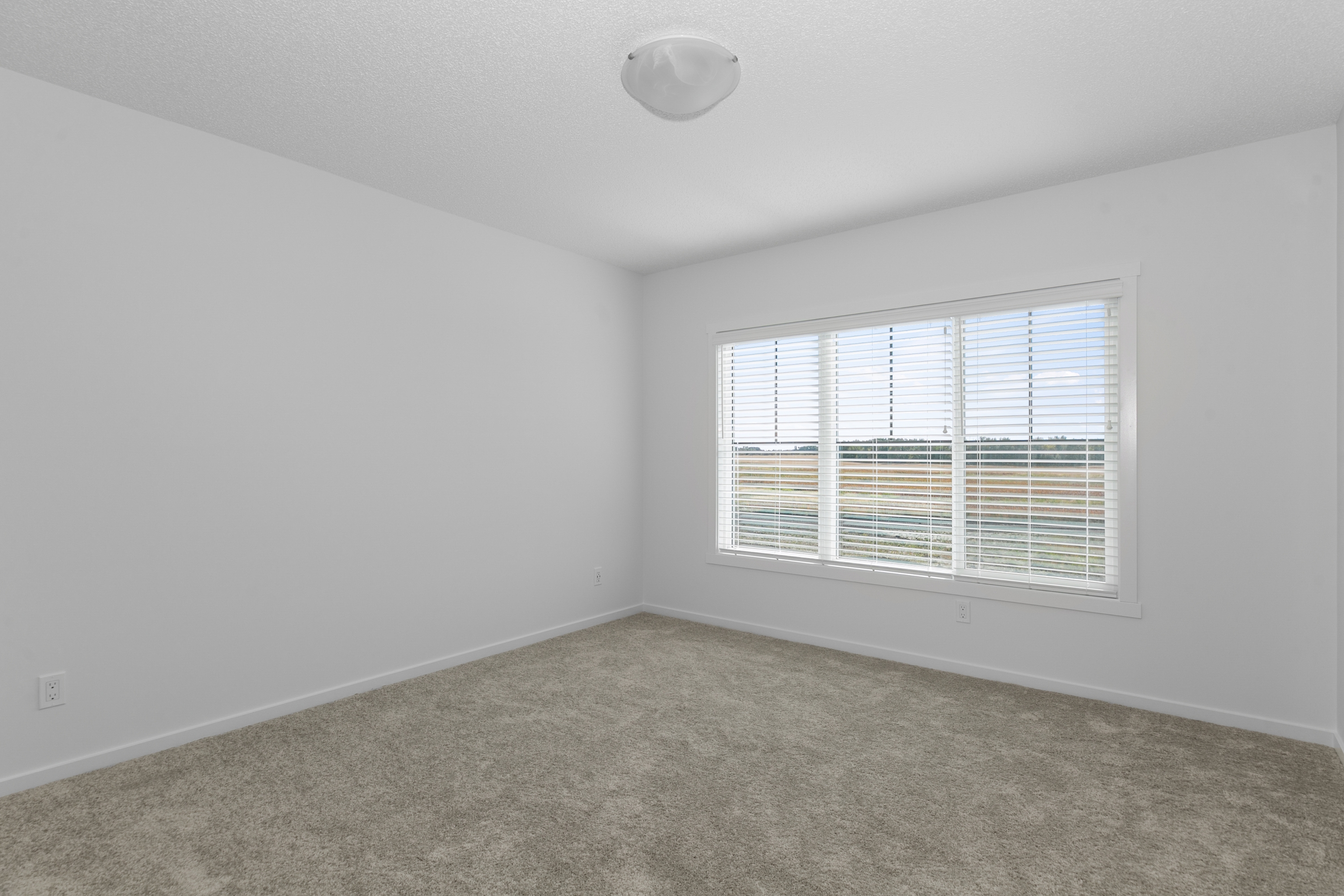 Edmonton rental