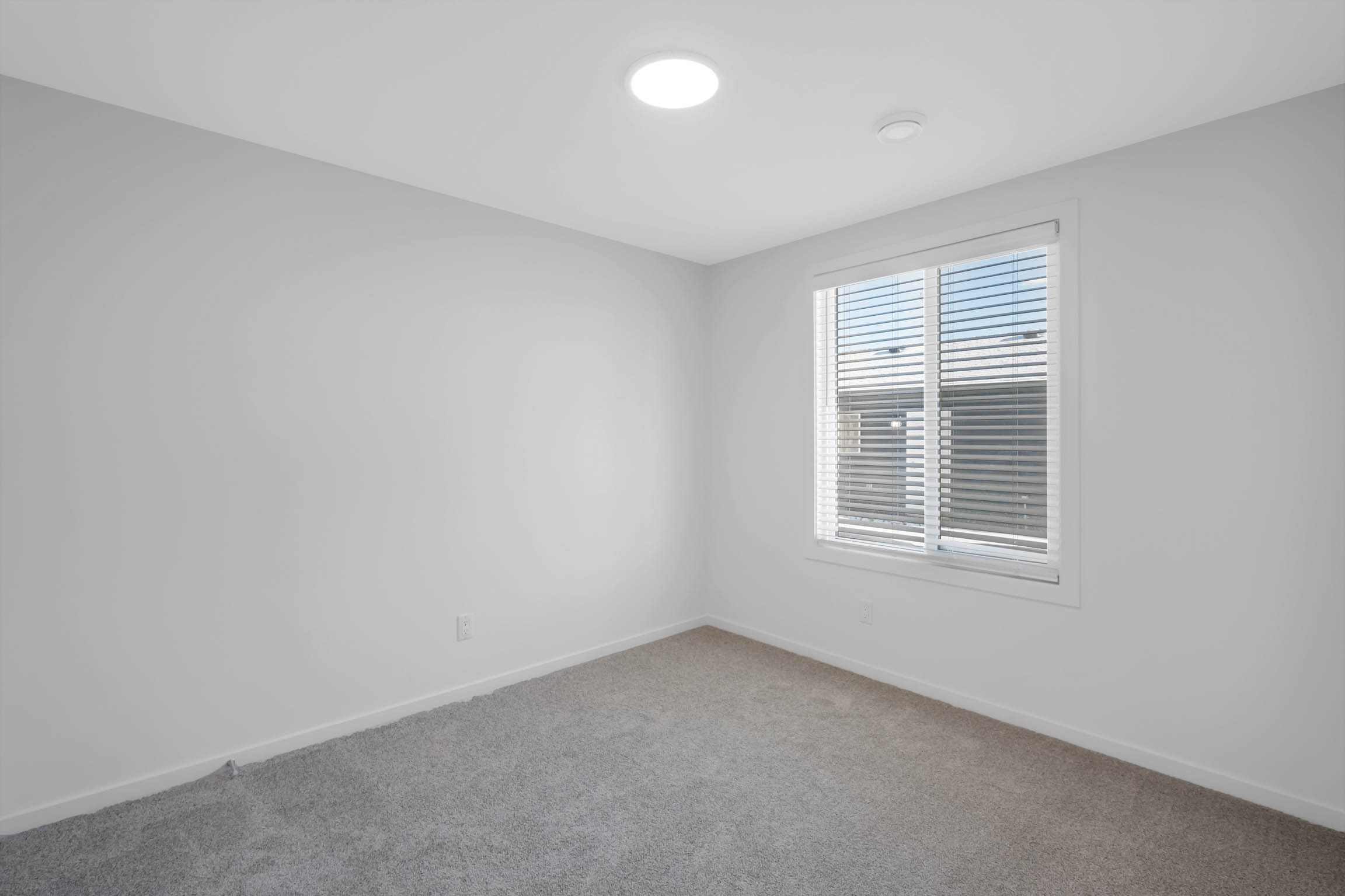Edmonton rental