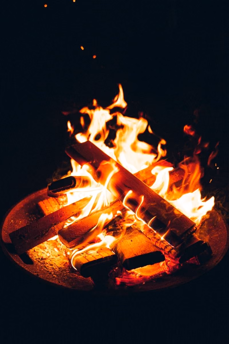 Nature-based activity on the Woodsmen Project