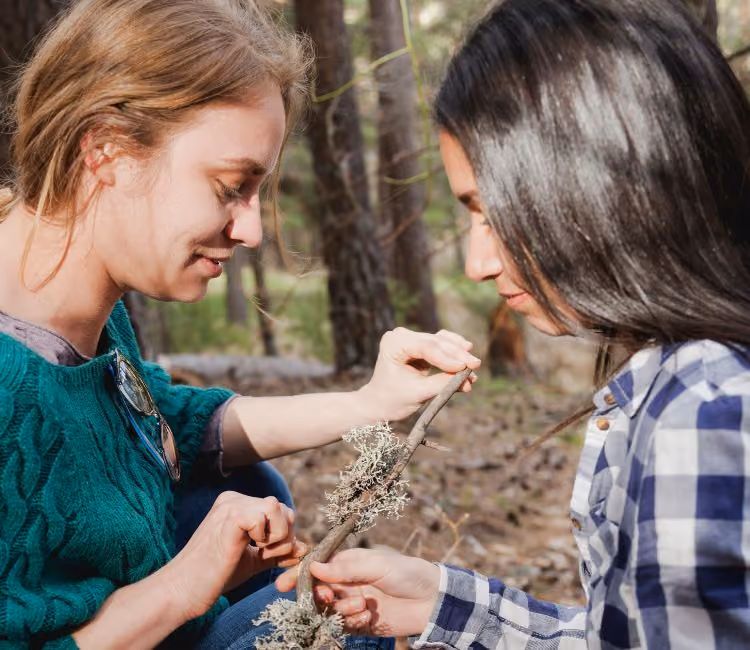 Nature Connection and Wellbeing qualification outdoor learning