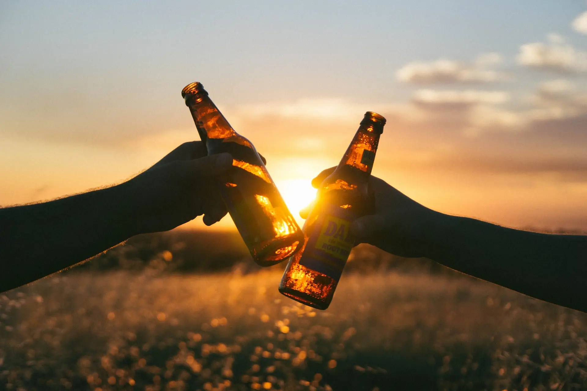 two people making a toast at sunset to represent the importance of networking