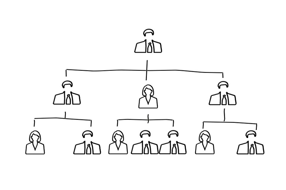 nonprofit management software