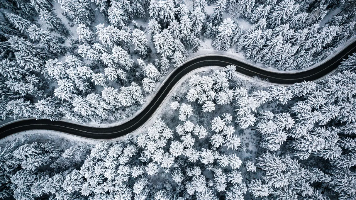 A winding road through a snowy forest to represent indirect paths from A to B to help distinguish between direct and indirect procurement.