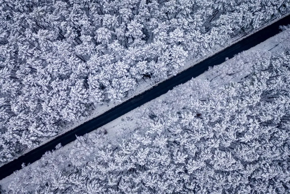 A straight road through snowy trees to represent direct paths from A to B to help distinguish between direct and indirect procurement.