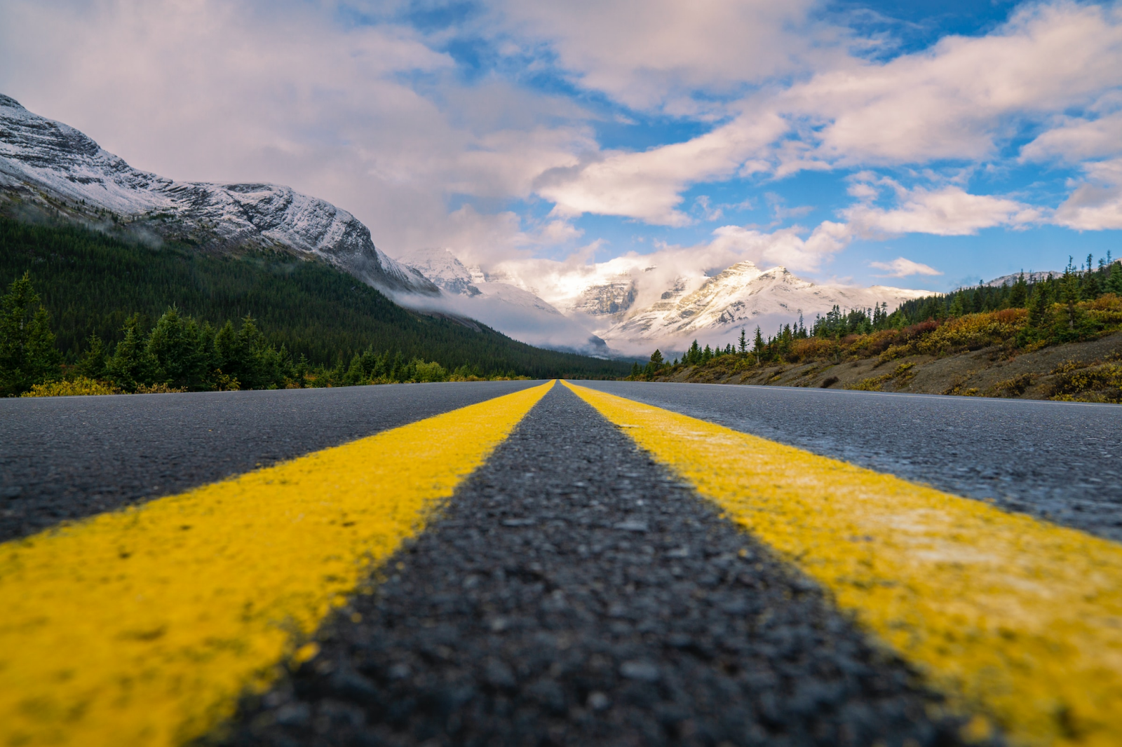 A long straight road leading to sunny skies to represent the path to improving the procurement experience.