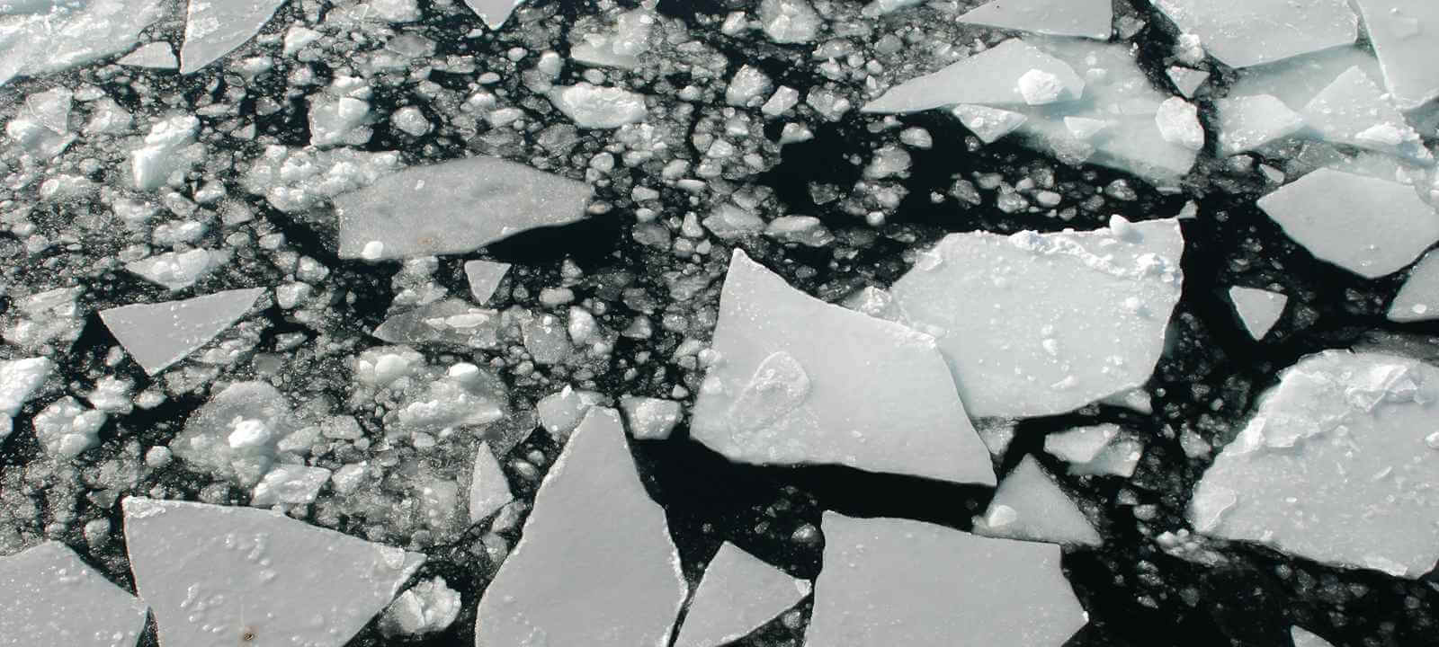 The Cloud Breaks the Ice on Legacy Procurement Software
