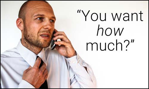 There are several disadvantages and problems with ERP systems
