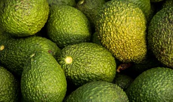 What's On The Menu? The Difference Between Procurement & Purchasing