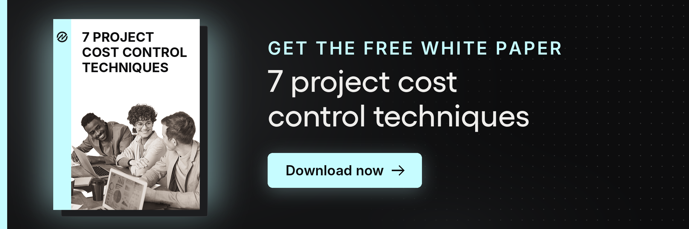 Tradogram Project Cost Control Techniques Free Whitepaper