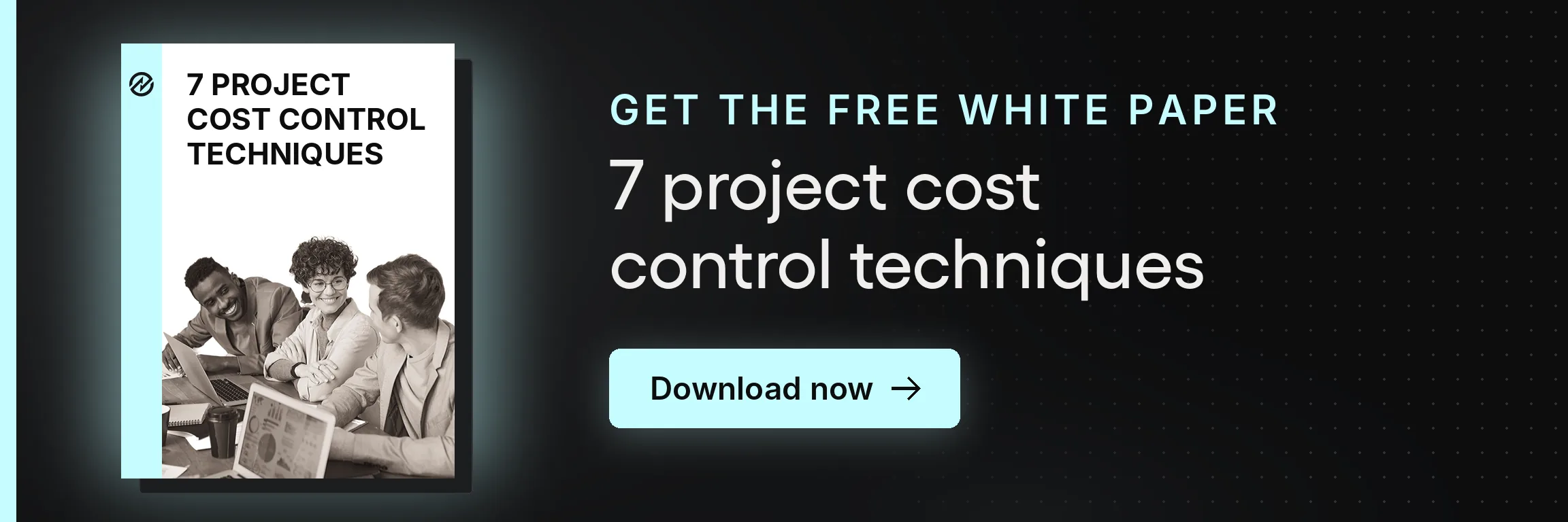 Tradogram Project Cost Control Techniques Free Whitepaper