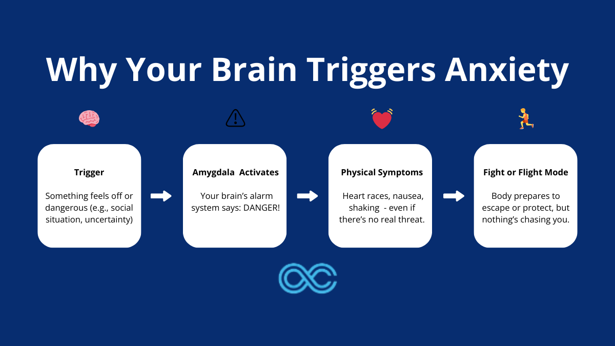 Diagram showing how the brain processes anxiety, from emotional triggers to amygdala activation and fight-or-flight response
