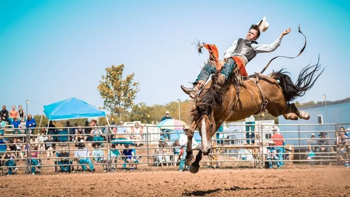 Cowboy rides a bucking bronco at a rodeo arena as spectators watch from the stands.